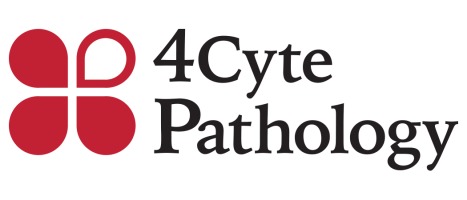 4Cyte CPD